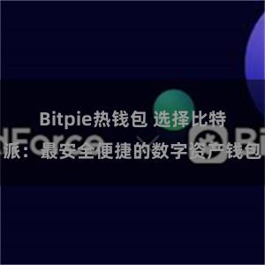 Bitpie热钱包 选择比特派：最安全便捷的数字资产钱包