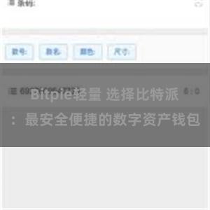 Bitpie轻量 选择比特派：最安全便捷的数字资产钱包