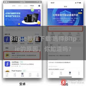 Bitpie教程下载 选择Bitpie的原因，你知道吗？