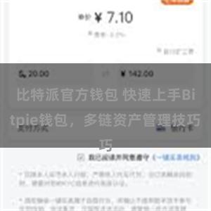 比特派官方钱包 快速上手Bitpie钱包，多链资产管理技巧