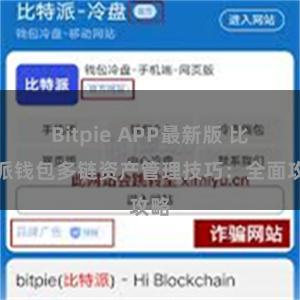 Bitpie APP最新版 比特派钱包多链资产管理技巧：全面攻略