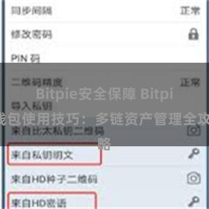 Bitpie安全保障 Bitpie钱包使用技巧：多链资产管理全攻略