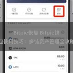 Bitpie恢复 Bitpie钱包使用技巧：多链资产管理全攻略