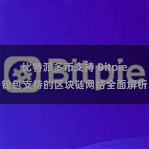 比特派多币支持 Bitpie钱包支持的区块链网络全面解析