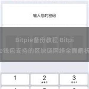 Bitpie备份教程 Bitpie钱包支持的区块链网络全面解析