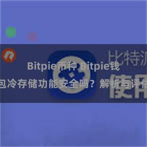 Bitpie币种 Bitpie钱包冷存储功能安全吗？解析与评估