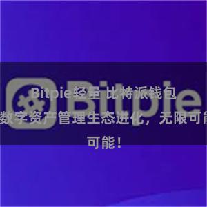 Bitpie轻量 比特派钱包：数字资产管理生态进化，无限可能！