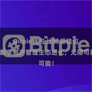 Bitpie钱包 比特派钱包：数字资产管理生态进化，无限可能！