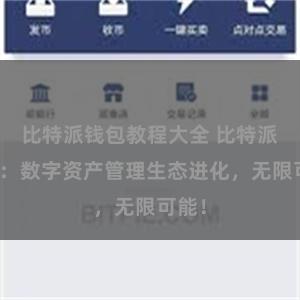 比特派钱包教程大全 比特派钱包：数字资产管理生态进化，无限可能！