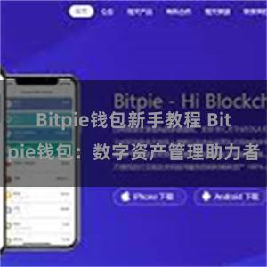 Bitpie钱包新手教程 Bitpie钱包：数字资产管理助力者