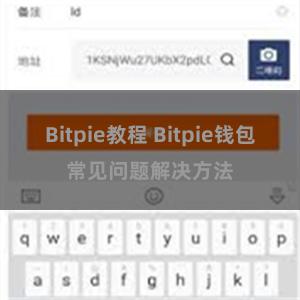 Bitpie教程 Bitpie钱包常见问题解决方法