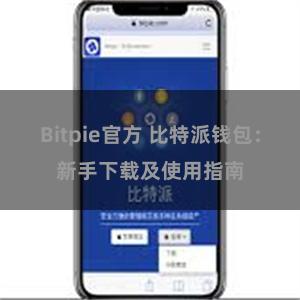 Bitpie官方 比特派钱包：新手下载及使用指南