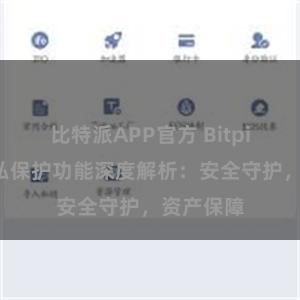 比特派APP官方 Bitpie钱包隐私保护功能深度解析：安全守护，资产保障