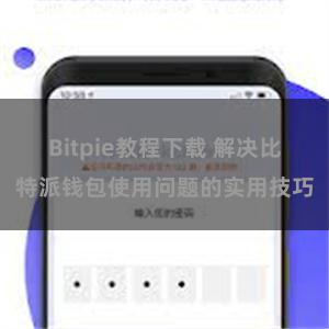 Bitpie教程下载 解决比特派钱包使用问题的实用技巧