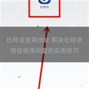 比特派官网地址 解决比特派钱包使用问题的实用技巧