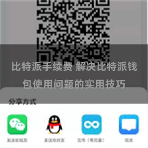 比特派手续费 解决比特派钱包使用问题的实用技巧