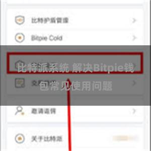 比特派系统 解决Bitpie钱包常见使用问题