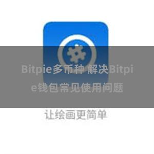 Bitpie多币种 解决Bitpie钱包常见使用问题