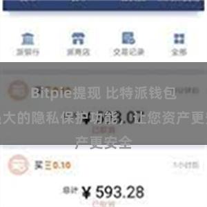 Bitpie提现 比特派钱包：强大的隐私保护功能，让您资产更安全