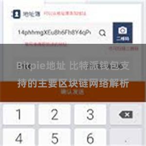 Bitpie地址 比特派钱包支持的主要区块链网络解析