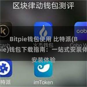 Bitpie钱包使用 比特派(Bitpie)钱包下载指南：一站式安装体验