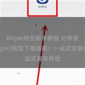 Bitpie钱包新手教程 比特派(Bitpie)钱包下载指南：一站式安装体验