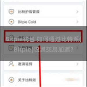 Bitpie钱包 如何通过比特派(Bitpie)设置交易加速？