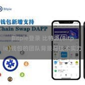 Bitpie登录 比特派(Bitpie)钱包的团队背景与技术实力