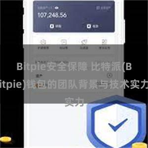 Bitpie安全保障 比特派(Bitpie)钱包的团队背景与技术实力