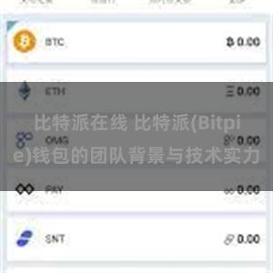 比特派在线 比特派(Bitpie)钱包的团队背景与技术实力