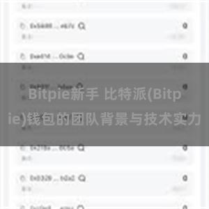 Bitpie新手 比特派(Bitpie)钱包的团队背景与技术实力