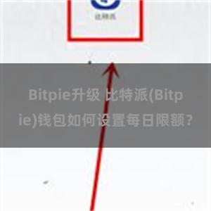 Bitpie升级 比特派(Bitpie)钱包如何设置每日限额？