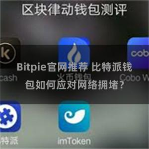 Bitpie官网推荐 比特派钱包如何应对网络拥堵？