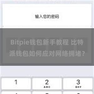 Bitpie钱包新手教程 比特派钱包如何应对网络拥堵？