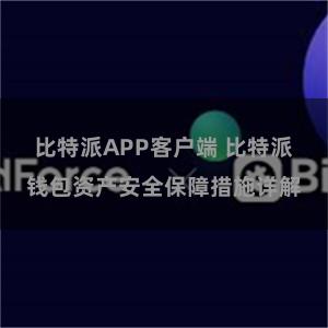 比特派APP客户端 比特派钱包资产安全保障措施详解