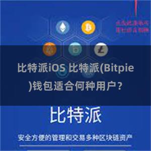 比特派iOS 比特派(Bitpie)钱包适合何种用户？