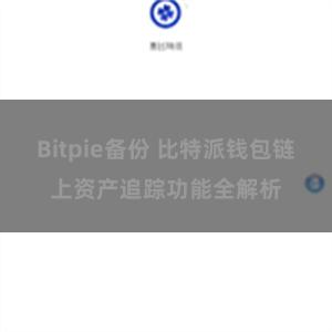 Bitpie备份 比特派钱包链上资产追踪功能全解析
