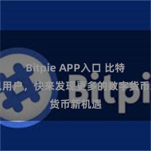 Bitpie APP入口 比特派钱包用户，快来发现更多的数字货币新机遇