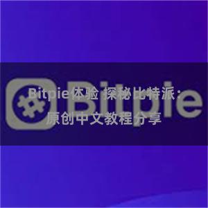 Bitpie体验 探秘比特派：原创中文教程分享