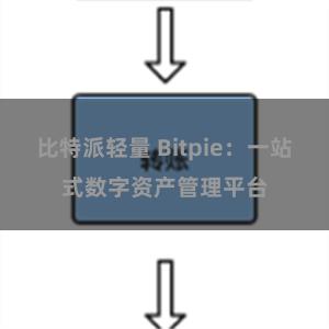 比特派轻量 Bitpie：一站式数字资产管理平台
