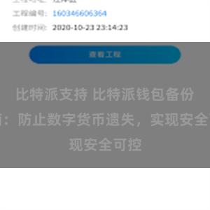 比特派支持 比特派钱包备份指南：防止数字货币遗失，实现安全可控