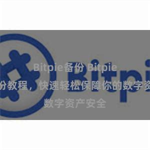 Bitpie备份 Bitpie钱包备份教程，快速轻松保障你的数字资产安全