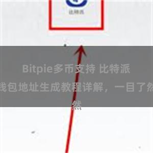 Bitpie多币支持 比特派钱包地址生成教程详解，一目了然