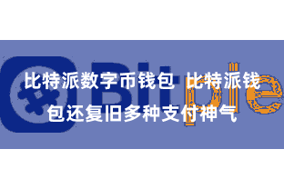 比特派数字币钱包  比特派钱包还复旧多种支付神气