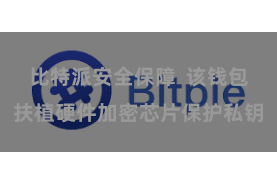 比特派安全保障  该钱包扶植硬件加密芯片保护私钥