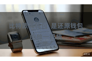 比特派热钱包  是还原钱包的独一把柄