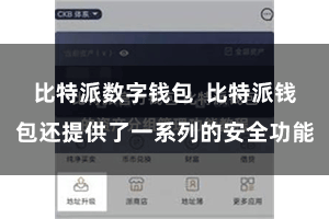 比特派数字钱包  比特派钱包还提供了一系列的安全功能