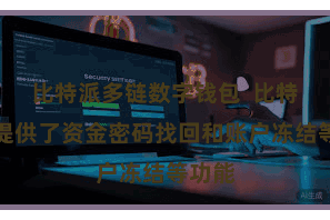 比特派多链数字钱包  比特派还提供了资金密码找回和账户冻结等功能