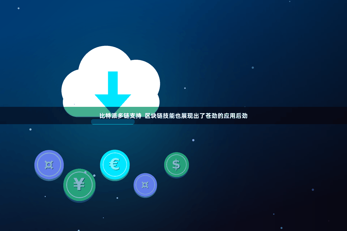 比特派多链支持  区块链技能也展现出了苍劲的应用后劲